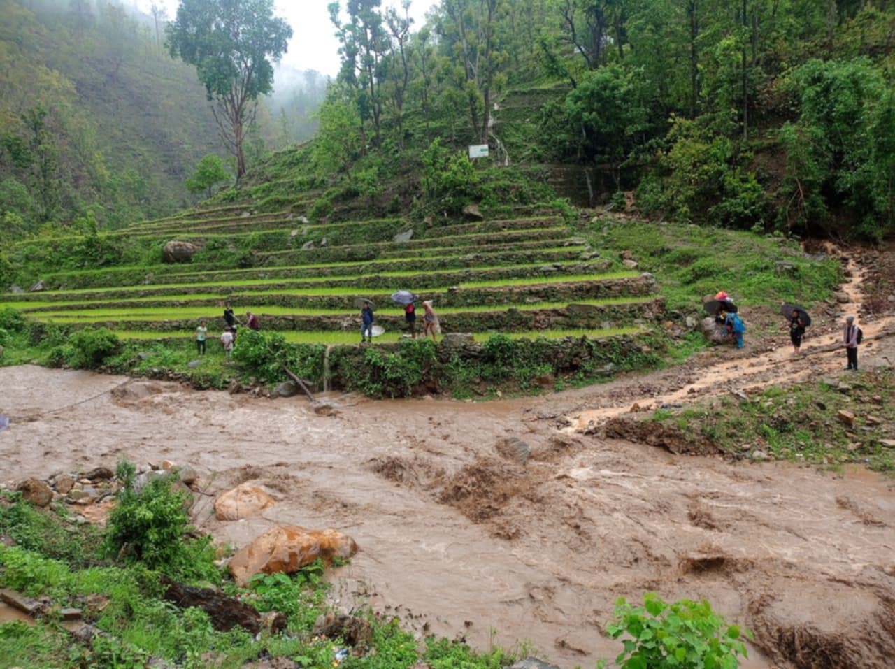 napekhola jajarkot (7).jpg